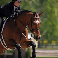 Victoria Colvin and Ovation