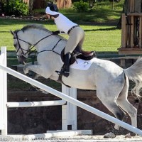 Lisa Goldman rides Aslan through the bounce, hand on her head