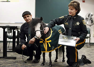 Special Ceremony Honoring Therapy Horse Magic