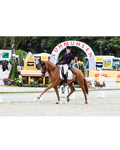 Despontin Leads Stellar Field after Dressage at Luhmühlen