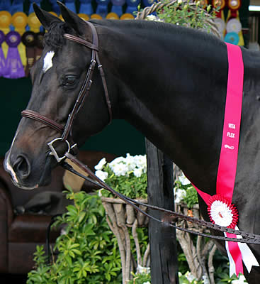 Vita Flex Helps Riders Achieve Greatness with The Fine Line Scholarship