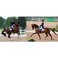 Brittany Fraser with All In (left) and Chris Von Martels with Zilverstar (right) (Left photo courtesy of Horse Junkies Unlimited; Right photo courtesy of Jessica Mendoza)