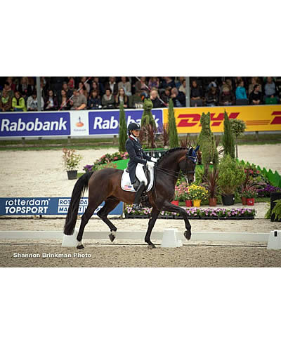 US Dressage Earns Bronze Medal in Strong Finish at CDIO5* Rotterdam