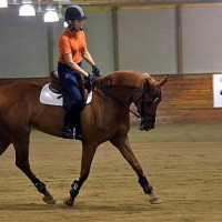 Anne Kursinski demonstrated proper schooling of a horse on the flat on Annie Weeden's Creata Von Ten Biesen