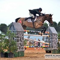 Aaron Vale and Okla Homa go clean over the final fence, tying for first place