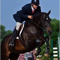 Dress Balou, piloted by Vale, won the $2,500 USHJA National Hunter Derby yesterday.