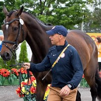 Steffen Peters and Legolas 92 (StockImageServices.com)