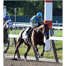 Old Friends Update and Event Tonight with American Pharoah Halter