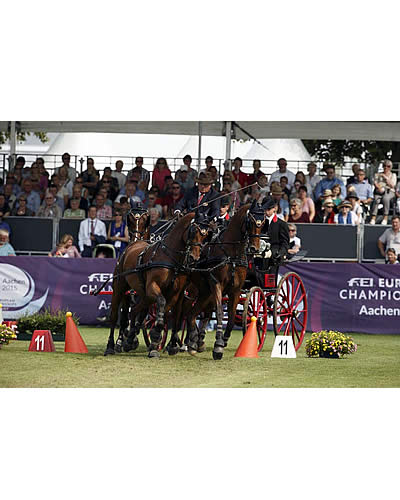 Belgium’s Brasseur at His Best in Driving Cones at Aachen 2015