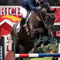 Kim Severson and 8 year old Irish Sport Horse Cooley Cross Border