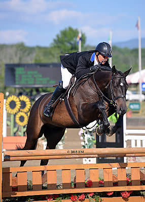 Aaron Vale and Dress Balou Win Diamond Mills $500,000 Hunter Prix Finals