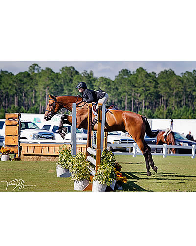 Congratulations to Southeast Medal Finals USHJA National Hunter Derby Winner