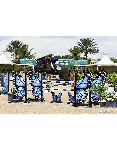 Equestrian Sport Productions Fall Series Continues with Top Sport and Grand Prix Competition