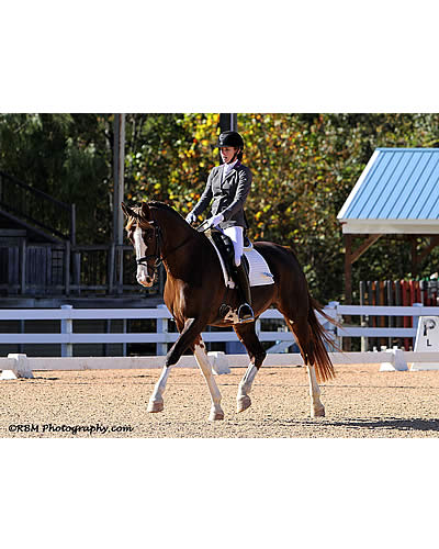 The Horse of Course High Score Award at GAIG/USDF Region 1 Dressage Championships Goes to…