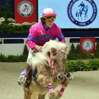 The WIHS Shetland Pony Steeplechase Championship Race is one of the most popular exhibitions. Photo © Shawn McMillen Photography