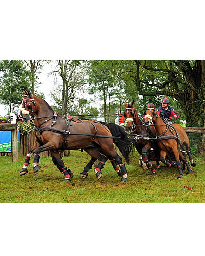 Chester Weber Earns Record 12th USEF National Four-in-Hand Championship