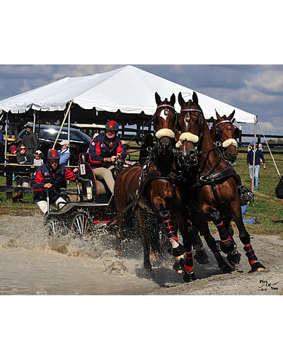 Team Weber’s New Horses Rise to the Top to Win Hermitage Classic CDE FEI 2*