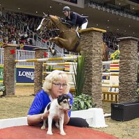 Canine-Equine