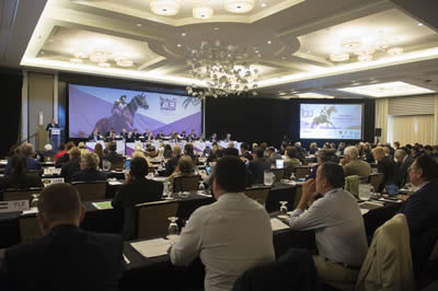 FEI General Assembly Concludes in Puerto Rico