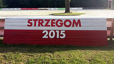 Strzegom 2015: a Very Busy Season