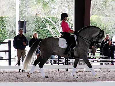 The Horse of Course Sponsors Fifth Annual Robert Dover Horsemastership Clinic
