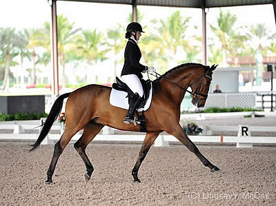 Para-Dressage Competition to Begin at PBIEC with First CPEDI 3* of the Season