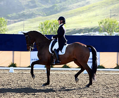 Custom Saddlery MVR Mette Rosencrantz Competes in Florida with European Dreams