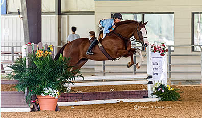 Silver Sands Bridle Club Adds SEMF Sanctioning for 2016