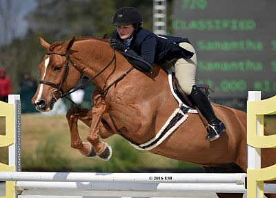 HITS Hunter Exhibitors Jump for the Money in Week I of the HITS Ocala Winter Circuit