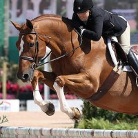 Golden Rule and Stephanie Danhakl