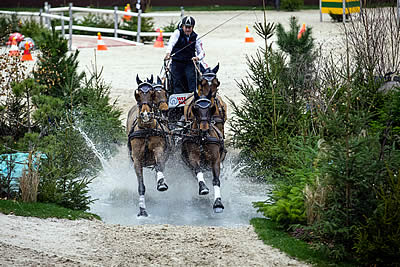 Four-in-Hand Drivers All Ready for Action at FEI World Cup Driving Final in Bordeaux