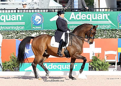 Shelly Francis and Doktor Earn Victory in AGDF 7 FEI Grand Prix Special CDI-W