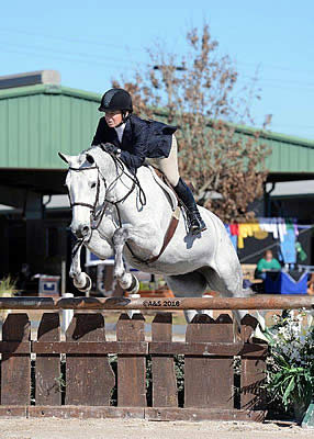 Cartagena BD Takes the Win in the $2,500 USHJA National Hunter Derby