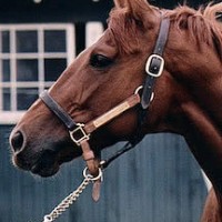 Secretariat