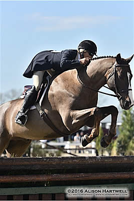 Shepherd Pulls Hat Trick in $10,000 USHJA International Hunter Derby