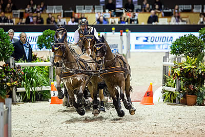 Koos de Ronde Takes the Lead in the FEI World Cup Driving Final in Bordeaux