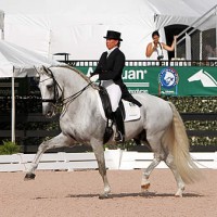 Baldor Interagro and Pia Aragão competing at the 2015 Global Dressage Festival