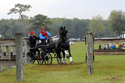 Crookston and Weber Score Selection Trials Division Wins at Kingdom of the Sun CDE