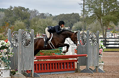 Ocala Week VII Hunter Exhibitors Compete for the Blue