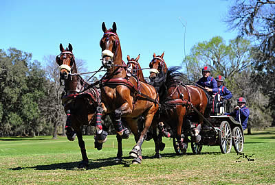 Lucky 13 for Team Weber at 2016 Live Oak International