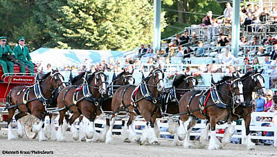 Devon Horse Show and Country Fair Welcomes 2016 Show Jumping Hall of Fame Induction