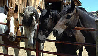 Motivation from Moshi, by Jane Savoie