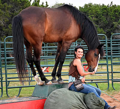 Imagine-a-Horse Trick Horse Training Camp Puts Training and Trust on a Pedestal