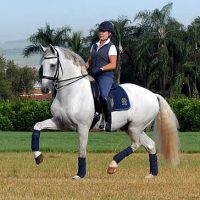 Baldor Interagro ridden by Pia Aragao (Photo courtesy of Martina Brandes)