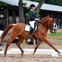 Pamela Hardin and Quaterjack (Erich Linder Photography)