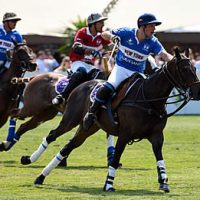 polo2