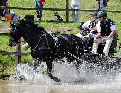 Stefanie Putnam Earns Fifth at 2016 FEI World Para-Driving Championships