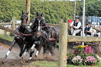 Boyd Exell Came, Saw and Conquered at FEI World Four-in-Hand Championship Breda