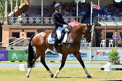 Will Enzinger’s Aquifer Gets His Nose in Front Again at Adelaide