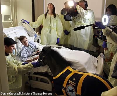 Awards for Little Therapy Horse Magic